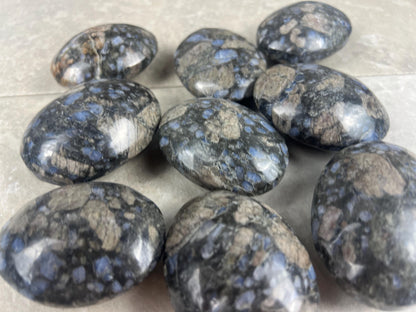 Texas Llanite Palm Stone Polished Crystal for Stress Relief Home Decor Home Decor Anxiety Pocket