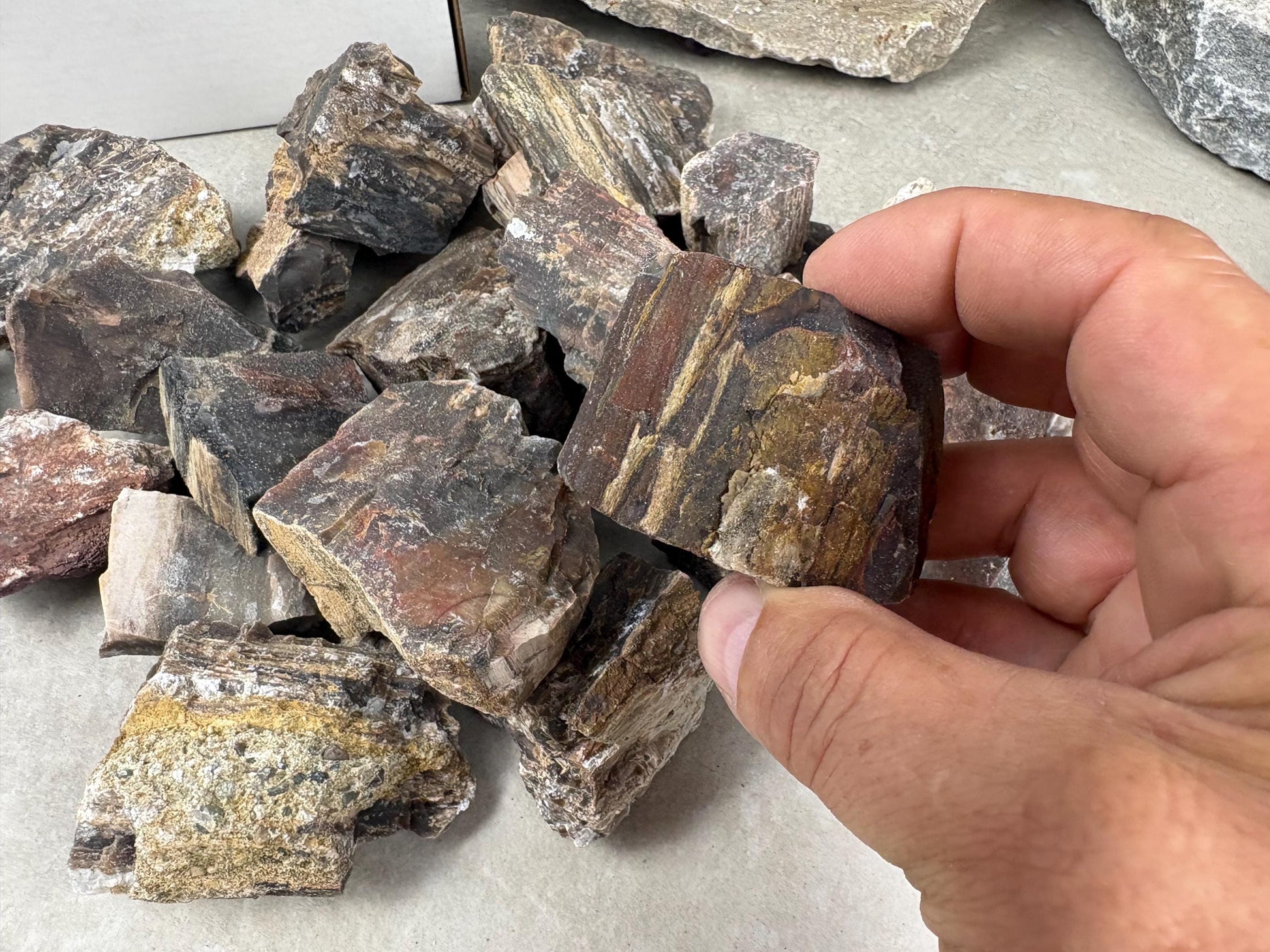 American Fossil Wood Chunk Natural Crystal Polished Worry Stone Decor Anxiety Pocket Meditation Christmas Craft Hobby Jewelry Gift Crafting