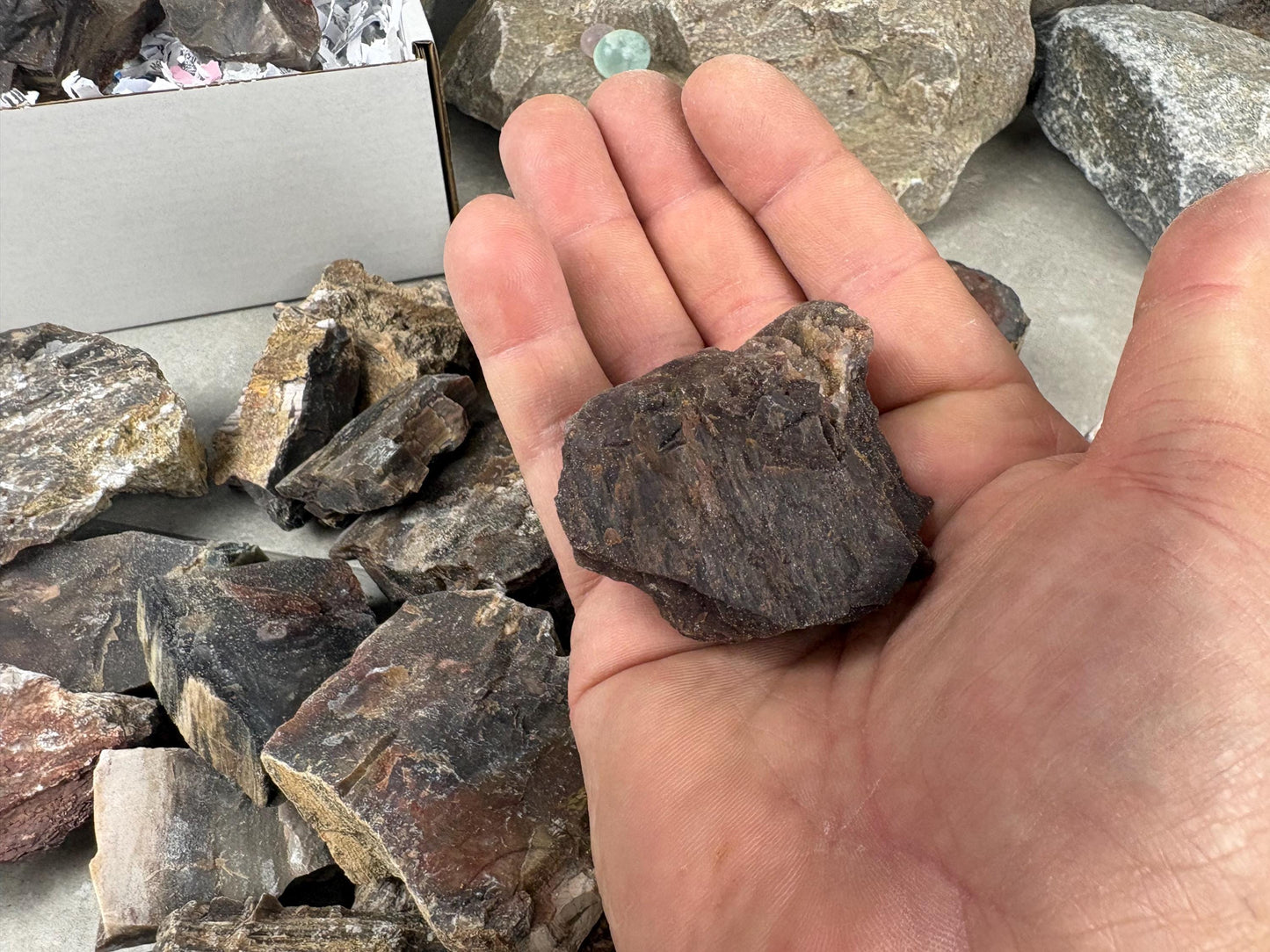 American Fossil Wood Chunk Natural Crystal Polished Worry Stone Decor Anxiety Pocket Meditation Christmas Craft Hobby Jewelry Gift Crafting