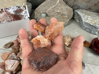 African Raw Hematoid Fire Quartz Fossil Wood Chunk Natural Crystal Worry Stone Decor Anxiety Pocket Craft Hobby Jewelry Gift Crafting