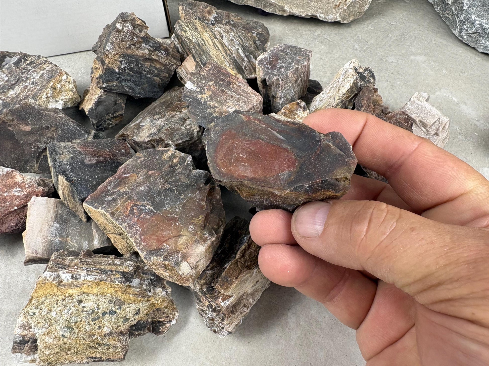 American Fossil Wood Chunk Natural Crystal Polished Worry Stone Decor Anxiety Pocket Meditation Christmas Craft Hobby Jewelry Gift Crafting