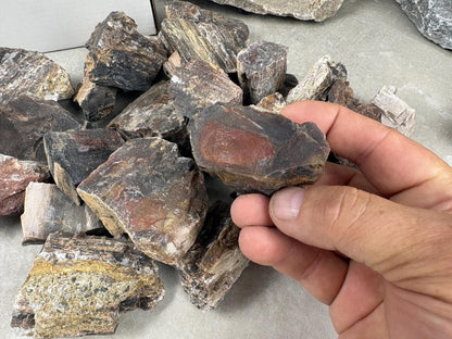 American Fossil Wood Chunk Natural Crystal Polished Worry Stone Decor Anxiety Pocket Meditation Christmas Craft Hobby Jewelry Gift Crafting