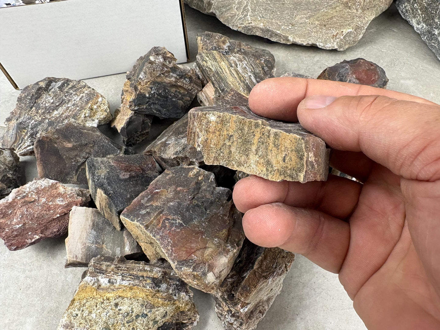 American Fossil Wood Chunk Natural Crystal Polished Worry Stone Decor Anxiety Pocket Meditation Christmas Craft Hobby Jewelry Gift Crafting
