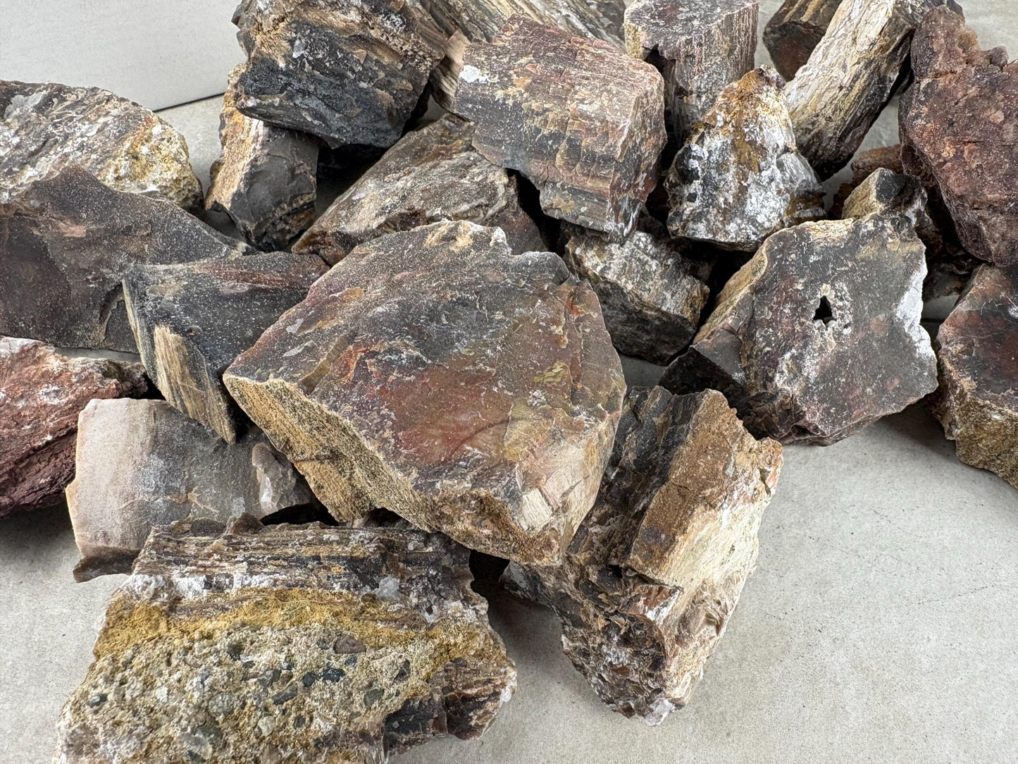 American Fossil Wood Chunk Natural Crystal Polished Worry Stone Decor Anxiety Pocket Meditation Christmas Craft Hobby Jewelry Gift Crafting