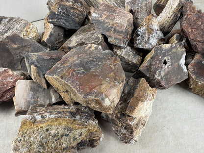 American Fossil Wood Chunk Natural Crystal Polished Worry Stone Decor Anxiety Pocket Meditation Christmas Craft Hobby Jewelry Gift Crafting