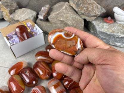 Brazilian Red Sardonyx Natural Crystal Palm Stone Worry Anxiety Distraction Pocket Stone Home Decor Worry Pocket Stress Anxiety Palm Stone