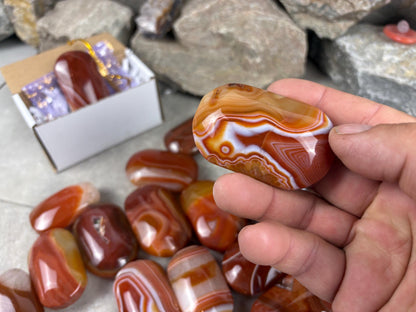 Brazilian Red Sardonyx Natural Crystal Palm Stone Worry Anxiety Distraction Pocket Stone Home Decor Worry Pocket Stress Anxiety Palm Stone