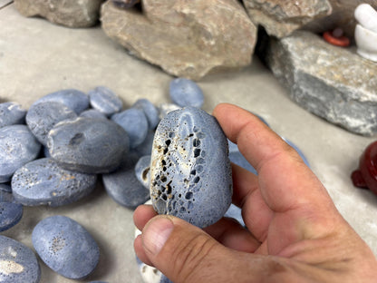 Japan Blue Coral Palm Stone Crystal Anxiety Relief Meditation Stone Xmas Gift Home Decor Worry Pocket Stress Anxiety Birthday Stress Relief