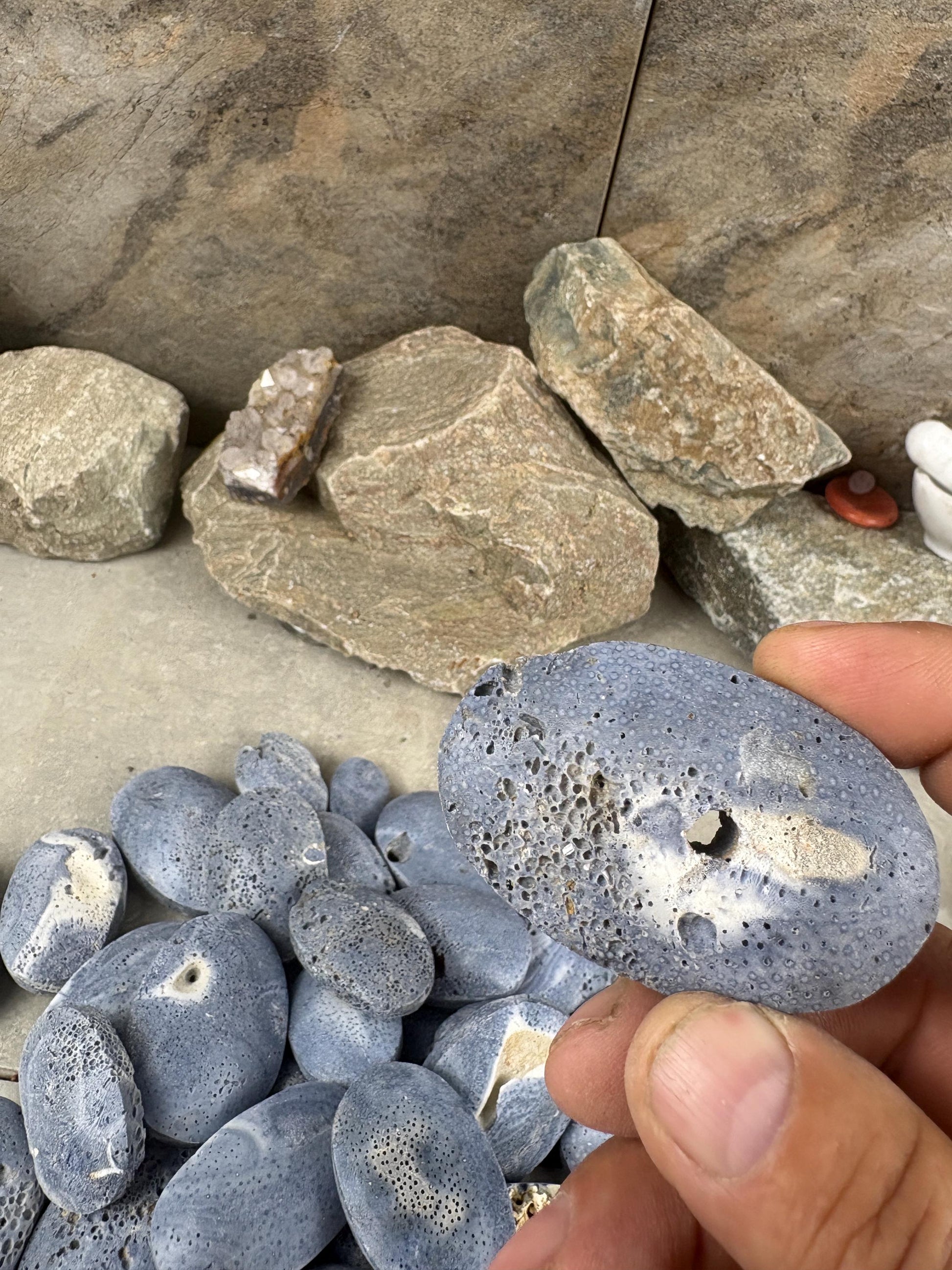 Japan Blue Coral Palm Stone Crystal Anxiety Relief Meditation Stone Xmas Gift Home Decor Worry Pocket Stress Anxiety Birthday Stress Relief