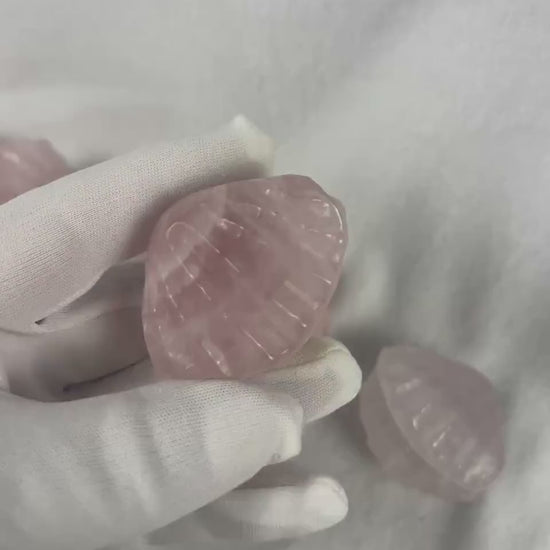 Rose Quartz Scallop Carved Palm Stone: Polished Crystal Decor Home Decor Worry Pocket Stress Anxiety Palm Stone