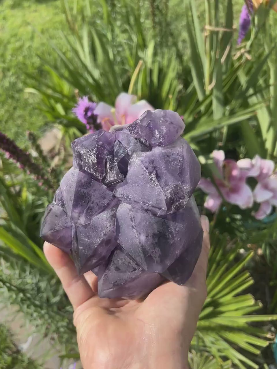 Large Raw Amethyst Crystal Cluster: Natural Specimen, Home Decor (6.1 lbs)