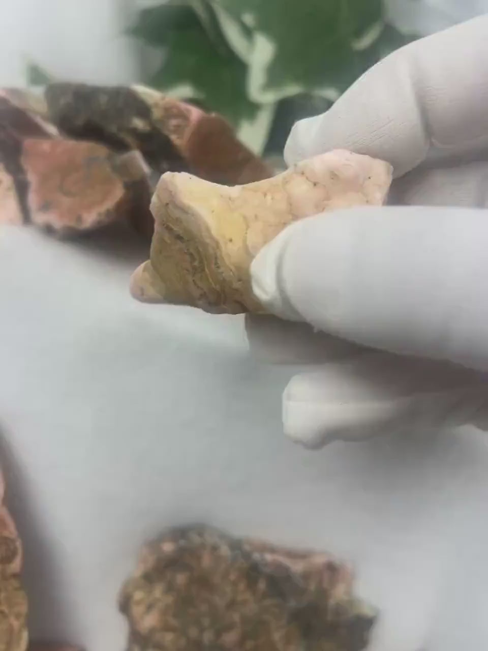 Polished Rhodonite Stone: British Columbia Crystal for Anxiety & Home Decor Home Decor Worry Pocket Stress Anxiety Palm Stone