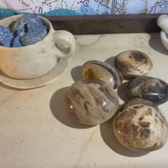 Fossil Wood Palm Stone: Polished Carved Crystal for Anxiety Relief