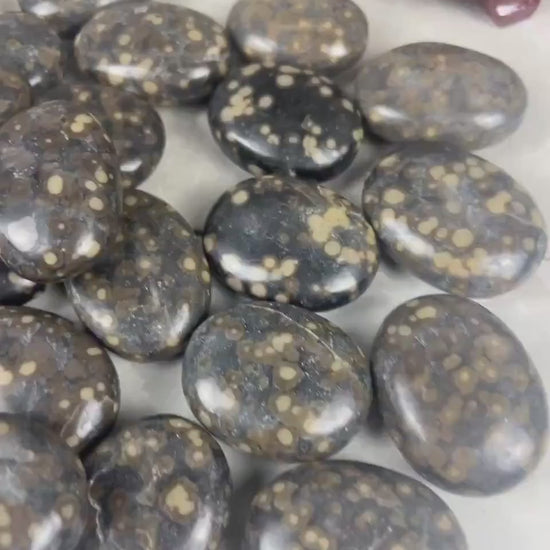 Californian Orbicular Jasper Palm Stone Polished Crystal Worry Stone Home Decor Worry Pocket Stress Anxiety Palm Stone