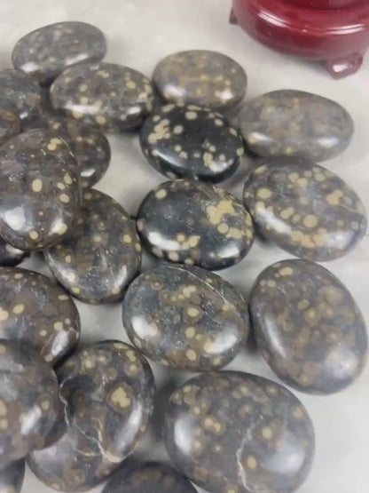 Californian Orbicular Jasper Palm Stone Polished Crystal Worry Stone Home Decor Worry Pocket Stress Anxiety Palm Stone