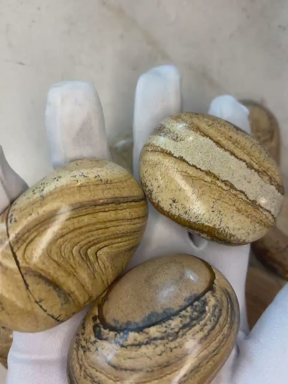 Owyhee Jasper Palm Stone: Polished Picture Jasper, Crystal for Meditation Home Decor Worry Pocket Stress Anxiety Palm Stone