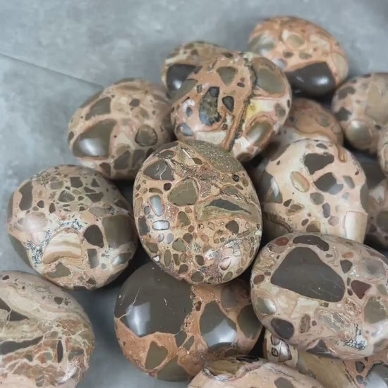 Polished Leopard Jasperite  Palm Stone Healing Anxiety Worry Meditation Decor