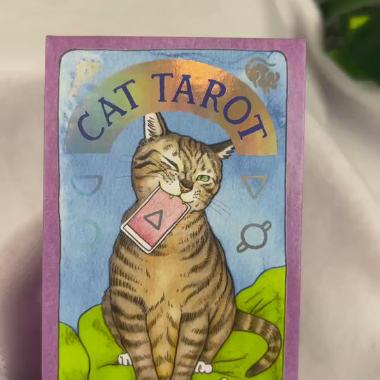 Cat Tarot Deck: 78 Illustrated Cards & Guidebook