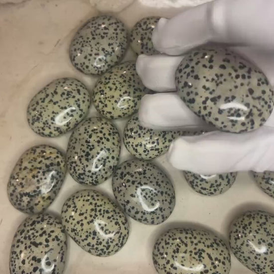 Indian Dalmation Jasper Palm Stone: Smooth Crystal Thumb Stone Home Decor Worry Pocket Stress Anxiety Palm Stone