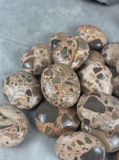 Polished Leopard Jasperite  Palm Stone Healing Anxiety Worry Meditation Decor Home Decor Worry Pocket Stress Anxiety Palm Stone