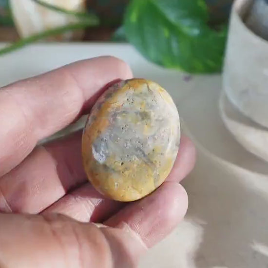Polished Crazy Agate Palm Natural Crystal Polished Worry Stone Home Decor Anxiety Pocket Distraction Meditation Gift Birthday Christmas