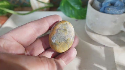 Polished Crazy Agate Palm Natural Crystal Polished Worry Stone Home Decor Anxiety Pocket Distraction Meditation Gift Birthday Christmas