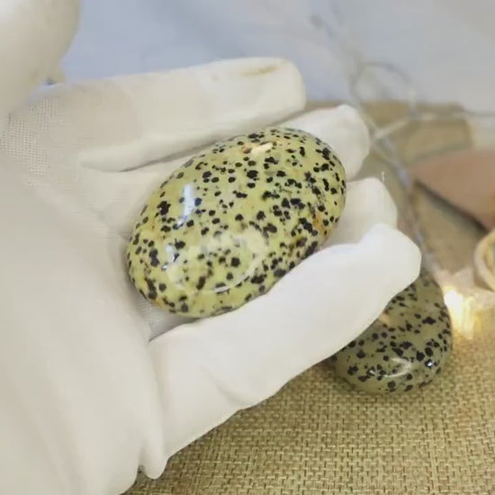 Dalmation Jasper Palm Stone Smooth Panic Thumb Stone Natural Crystal Thumb stone Christmas Birthday Gift Xmas Anxiety