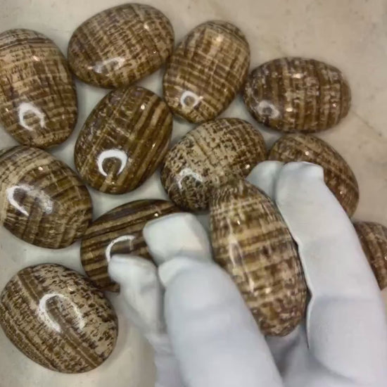 Indian Brown Aragonite Palm Stone: Polished Worry Stone