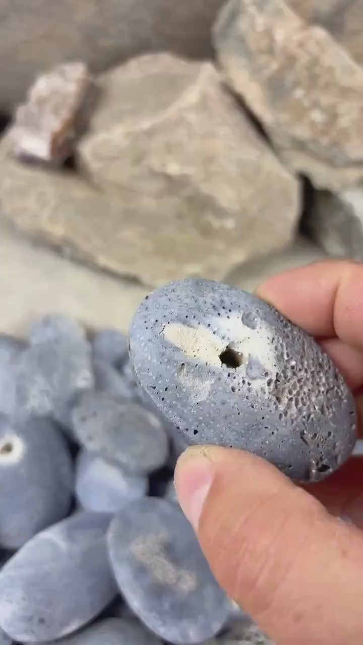 Japan Blue Coral Palm Stone Crystal Anxiety Relief Meditation Stone Xmas Gift Home Decor Worry Pocket Stress Anxiety Birthday Stress Relief