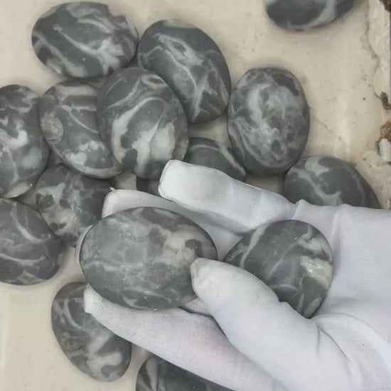 Texas Shell Stone Fossil Natural Palm Stone Smooth Polished Carved Crystal Distraction Home Decor Worry Stress Relief Anxiety Christmas Xmas