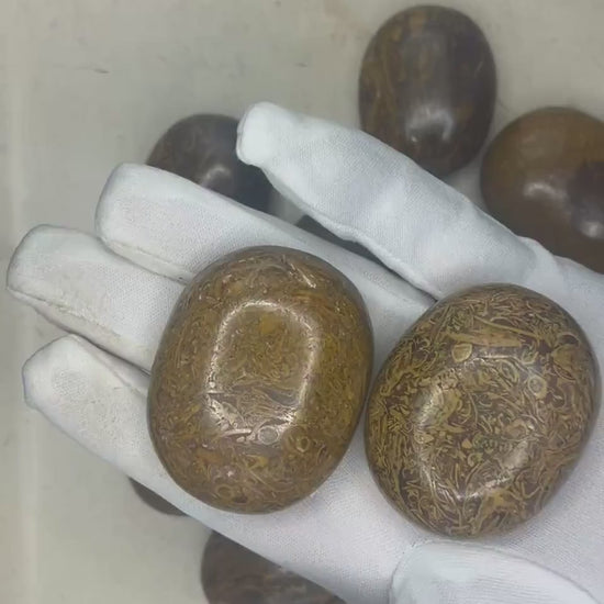 Egyptian Jasper Palm Stone: Polished Mariyam Crystal - Worry Stone Home Decor Worry Pocket Stress Anxiety Palm Stone