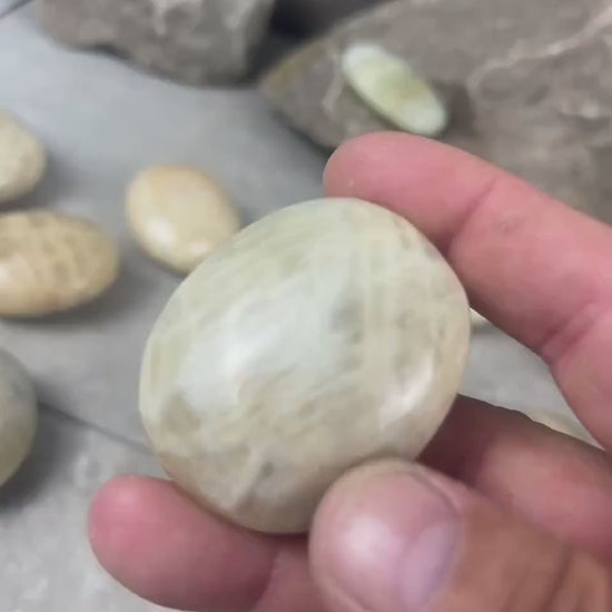 Sri Lanka Cream Moonstone Palm Stone: Polished Crystal Decor